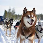 Дом отдыха Wolf Lakeside Lapland *