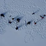 Дом отдыха Wolf Lakeside Lapland *