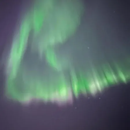 Wolf Lakeside Lapland *