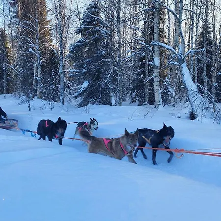 Wolf Lakeside Lapland * Ροβανιέμι