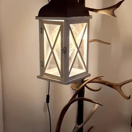 Wolf Lakeside Lapland * Ροβανιέμι