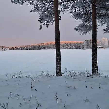 Wolf Lakeside Lapland 펜션 *