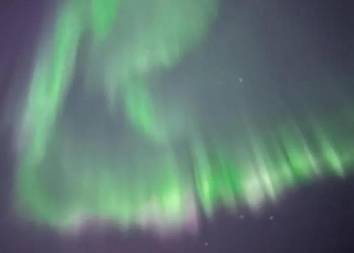 Wolf Lakeside Lapland *