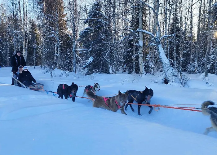 Wolf Lakeside Lapland * Rovaniemi