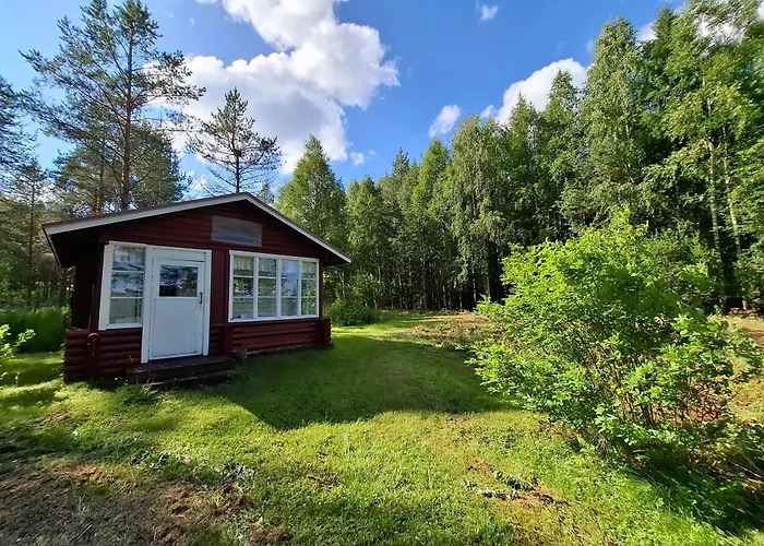 Wolf Lakeside Lapland Rovaniemi