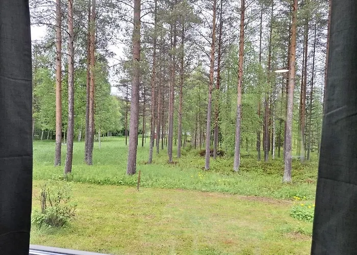 Wolf Lakeside Lapland *