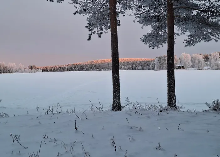 Wolf Lakeside Lapland Hébergement de vacances *